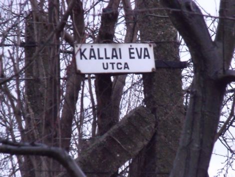 kallaieva.jpg