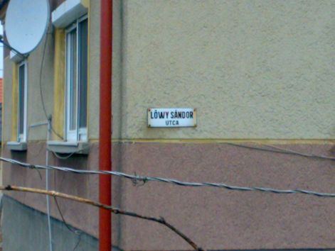 lowysandor.jpg